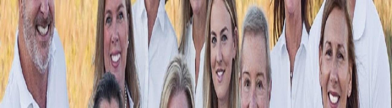 The Leslie  Kopp Group